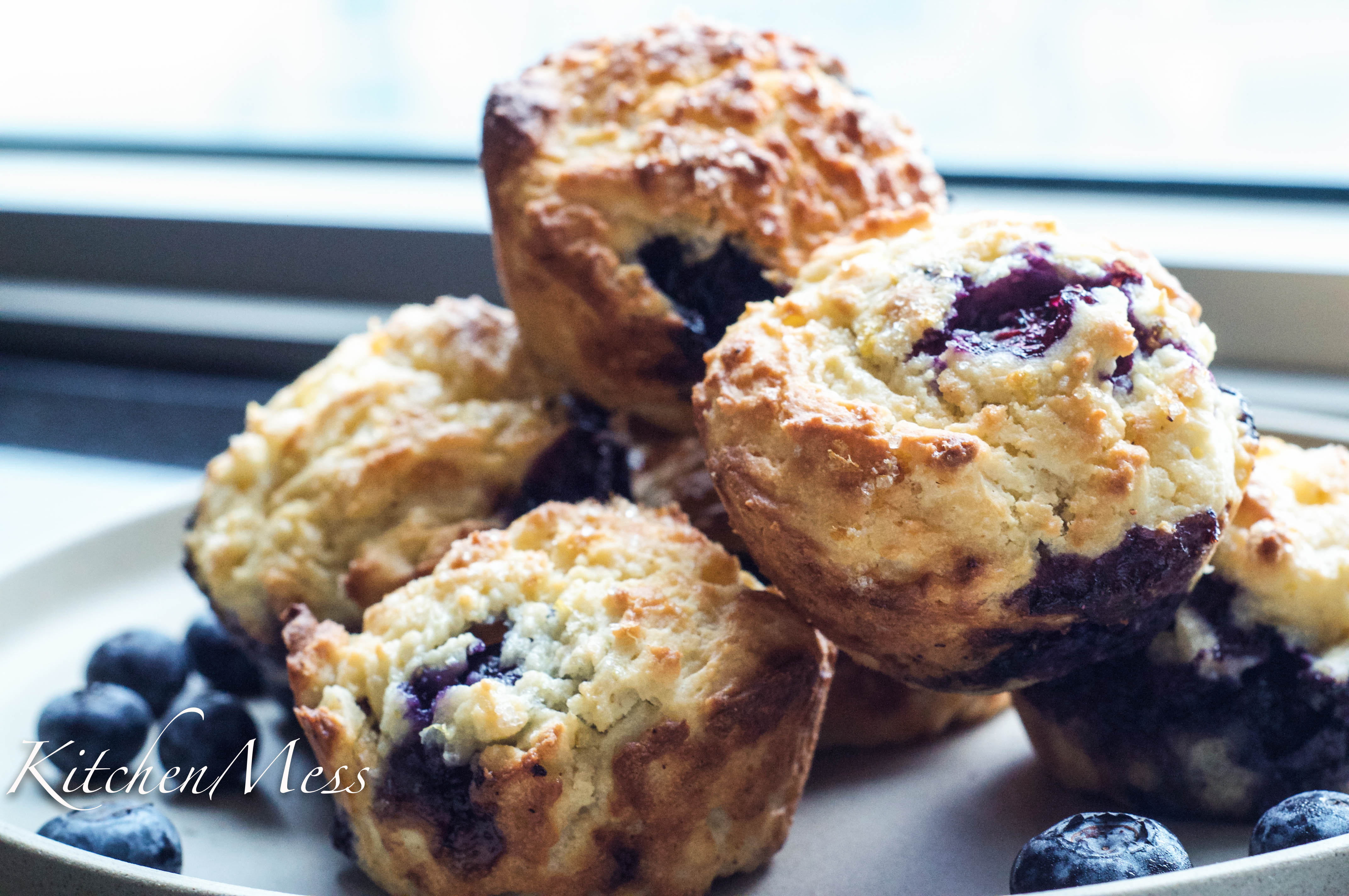 Super Moist Blueberry Muffins | Kitchenmess